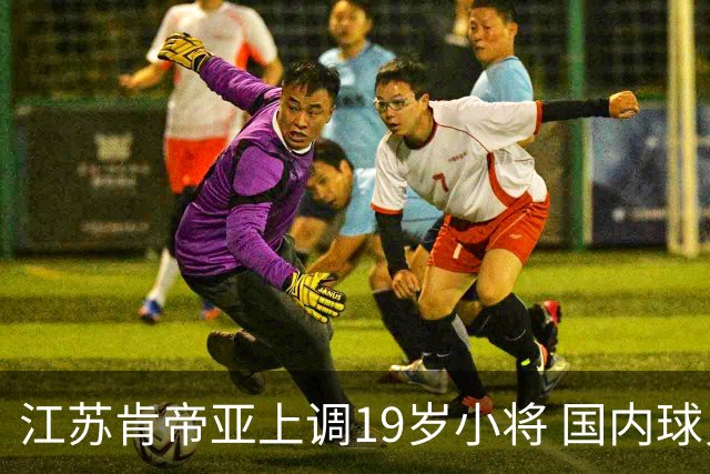 江苏肯帝亚上调19岁小将 国内球员注册达16人